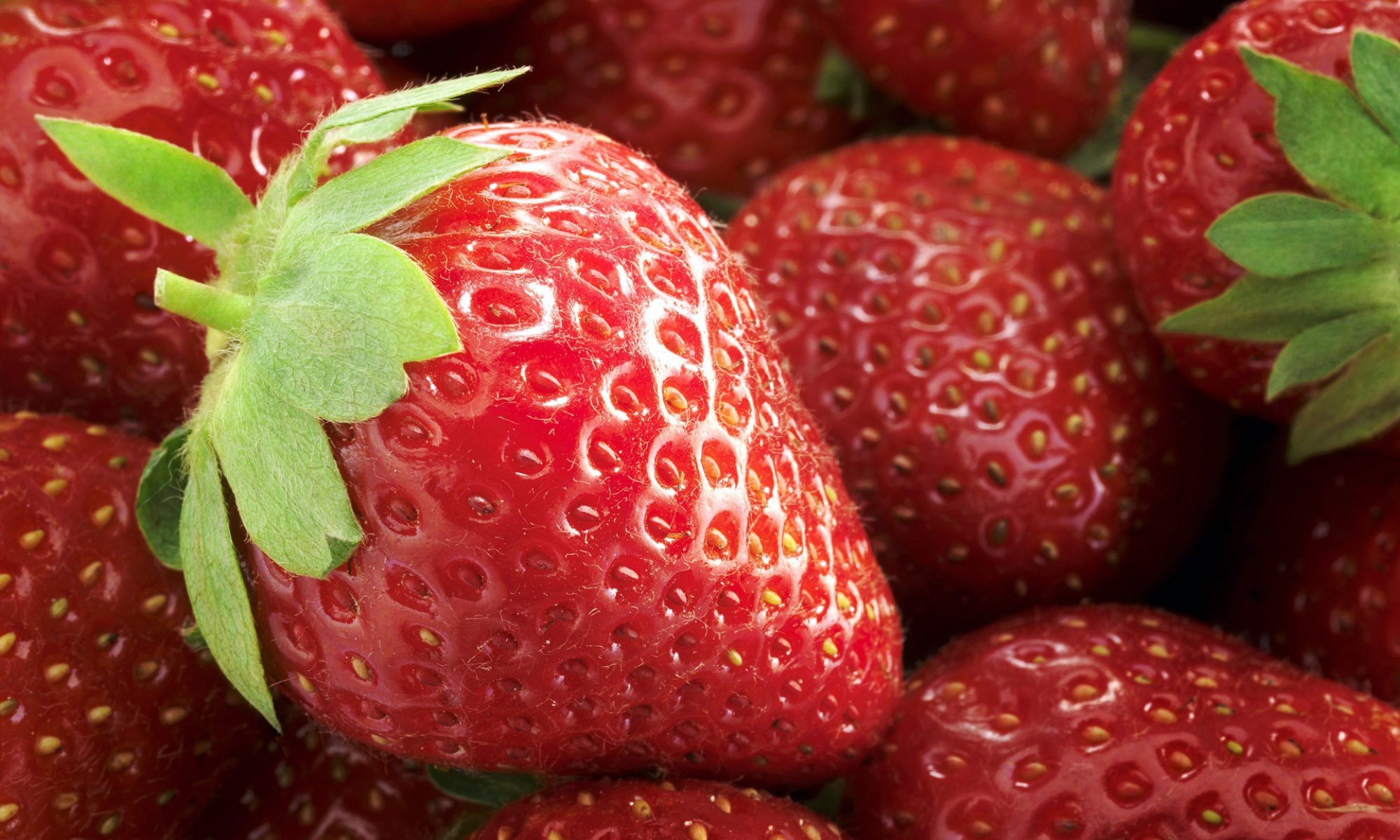 Strawberry.nl